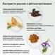 Шампунь від випадіння волосся TianDe Master Herb проти облисіння 420 мл 21310 фото 6